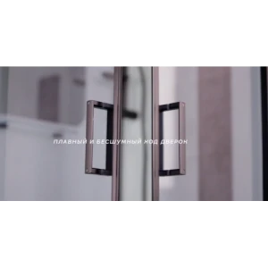 Душевая кабина Niagara Premium NG-6901-01QBLACK 90х90