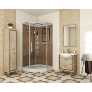 Душевая кабина Niagara Luxe NG-7717WD 100x100