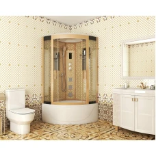 Душевая кабина Niagara Luxe NG-7710G 100x100