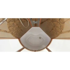 Душевая кабина Niagara Luxe NG-7710G 100x100