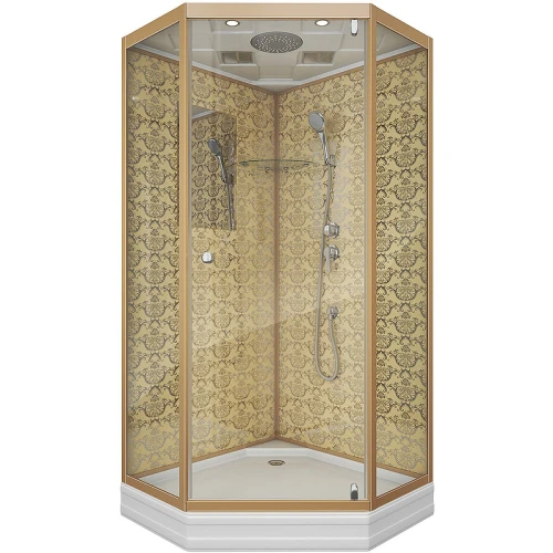Душевая кабина Niagara Luxe NG-7702DG 100x100