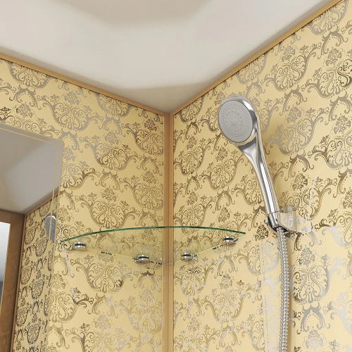 Душевая кабина Niagara Luxe NG-7702DG 100x100