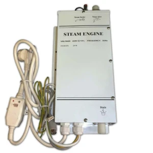 Парогенератор Frank с озонатором, пульт управления