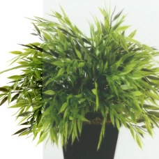 Душевая кабина Triton Ультра А 80х80 стекло прозрачное