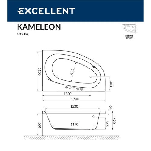 Акриловая ванна Excellent Kameleon 170x110 R
