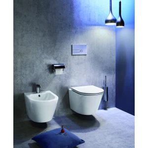 Биде подвесное Jacob Delafon Rodin+ EMJ0002-00