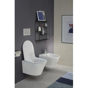 Биде подвесное Jacob Delafon Rodin+ EMJ0002-00