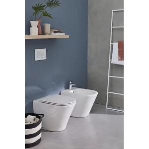 Биде напольное Jacob Delafon Rodin+ EBJ0002-00