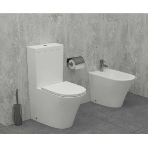 Биде напольное Jacob Delafon Rodin+ EBJ0002-00