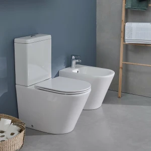 Биде напольное Jacob Delafon Rodin+ EBJ0002-00