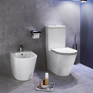 Биде напольное Jacob Delafon Rodin+ EBJ0002-00