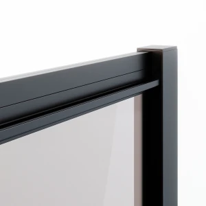 Душевая дверь в нишу Ambassador Forsa 100х200 17021216AB профиль черный, стекло прозрачное