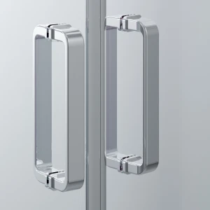 Душевая дверь в нишу Ambassador Forsa 100х200 17021116AX профиль хром, стекло прозрачное