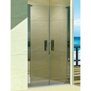 Душевая дверь в нишу Weltwasser WW600 600K2-90