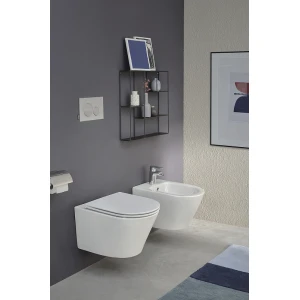 Кнопка смыва Jacob Delafon E20859-00-MWH белая