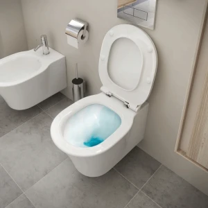 Унитаз подвесной Ideal Standard Connect Air E005401
