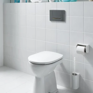 Унитаз приставной Laufen Pro 8.2195.6.000.000.1