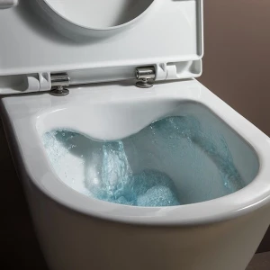Унитаз подвесной Laufen Pro 8.2096.5.000.000.1