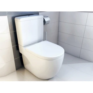 Унитаз напольный Roca Meridian-N 342248000