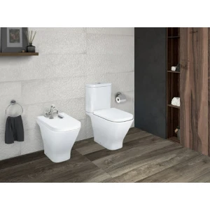 Унитаз напольный Roca The Gap 342477000