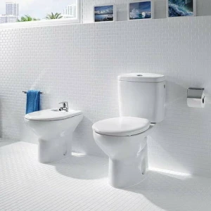 Унитаз напольный Roca Victoria 342399000