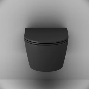 Подвесной унитаз AM.PM Func C8F1700MBSC