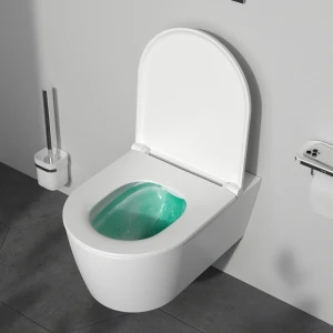 Подвесной унитаз AM.PM Func C8F1701SC