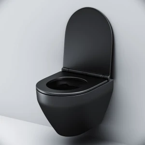 Унитаз-биде подвесной Am.Pm Spirit 2.0 C701700MBSC