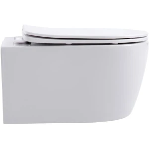 Унитаз подвесной Aquanet Smart Rimless LX-1106