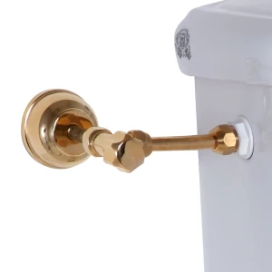 Унитаз напольный CAPRIGO Gianeta 31181 декор золото