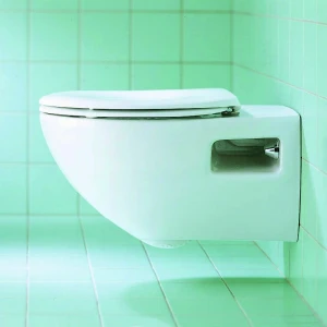 Унитаз подвесной Duravit Colomba 2547090000 