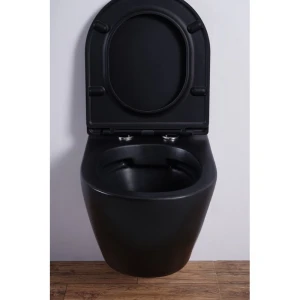 Унитаз подвесной ESBANO Azalea ESUPAZALBM матовый