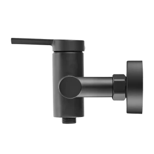 Смеситель Swedbe Diana 1020B для душа