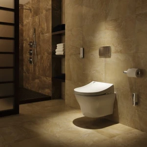 Унитаз подвесной Toto MH CW162Y#XW без сиденья