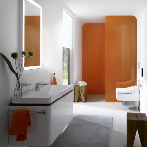 TOTO WASHLET SG Сиденье с дистанционным управлением для унитаза CW512YR