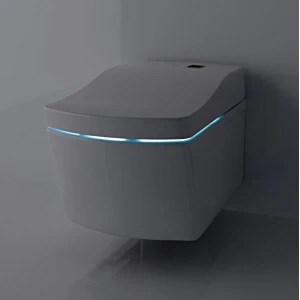 Унитаз подвесной Toto Neorest AC CW996PVD#NW1/TCF996RWG#NW1 с сиденьем