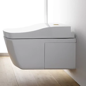 Унитаз подвесной Toto Neorest AC CW996PVD#NW1/TCF996RWG#NW1 с сиденьем