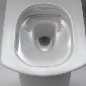 Унитаз подвесной Toto Neorest AC CW996PVD#NW1/TCF996RWG#NW1 с сиденьем