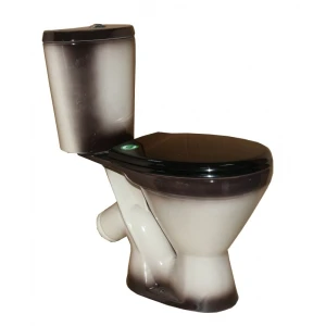 Унитаз-компакт Rosa Элегант 4640021069097