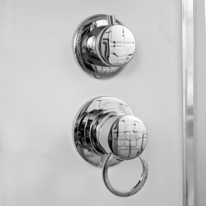 Душевая кабина DTO EM 2710 N Б/К 100x100