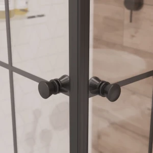 Душевой уголок Niagara Nova NG-0120-14 120х80