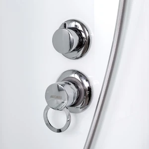 Душевая кабина DTO D 01 100х100 без крыши