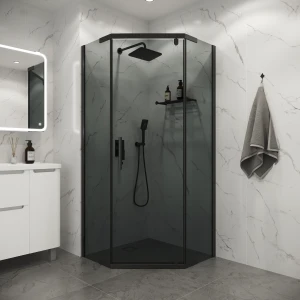 Душевое ограждение Niagara Eco NG-1009-14DT 90х90